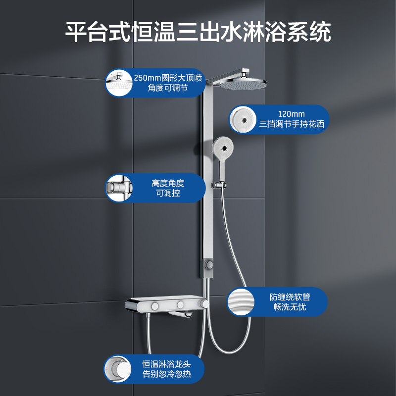 Duravit杜拉维特官方恒温花洒套装顶喷置物淋浴器沐浴奶油风花洒 - 图3