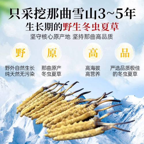 西藏虫草正宗那曲冬虫夏草礼盒装1500头规格3根一克（30克起卖） - 图1