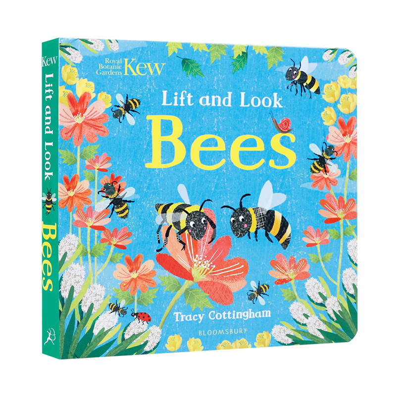 英文原版 Kew: Lift and Look Bees 蜜蜂 科普翻翻书 3-5岁低幼启蒙儿童英语早教 宝宝撕不烂纸板书 亲子互动共读探索世界认知绘本 - 图3