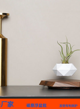 磁悬浮盆栽花盆悬浮花磁悬浮植物家居装饰摆件一件代发源头厂家