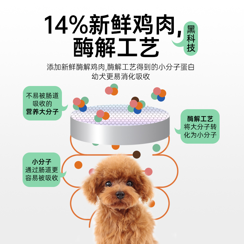 狗粮幼犬粮1-12月专用泰迪比熊柯基金毛拉布拉多冻干小狗通用型40 - 图1