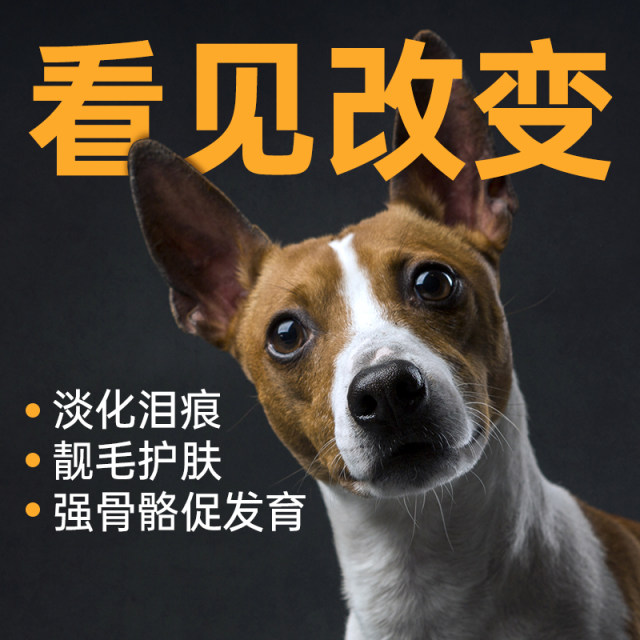 Dog snack ham sausage calcium supplement low -salt puppies teddy Golden Mao Corki pet sausage special box small dog