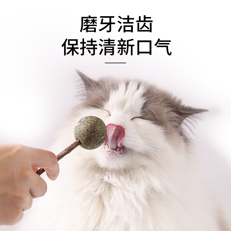 猫薄荷球棒棒糖木天蓼磨牙棒猫饼干舔舔乐猫咪零食逗猫棒玩具用品 - 图2