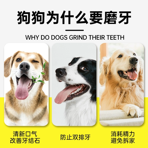 Собачьи закуски, зубные стержни кости, большие, маленькие, маленькие, маленькие, маленькие, золотистые, плюшевые чистящие зубы и кусая закуски для домашних животных