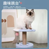 Котенок кошка скалолаза