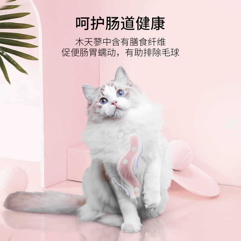 美人喵木天蓼棒猫咪零食磨牙棒洁齿幼猫啃咬猫薄荷逗猫棒宠物用品 - 图1