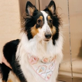 Милый слюнявчик, шарф, нагрудник, подходит для подростков