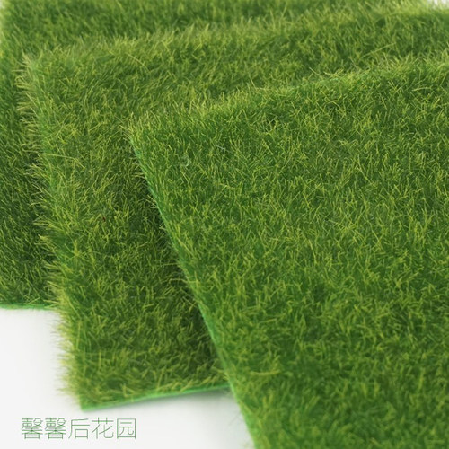 鲜活苔藓植物微景观生态玻璃瓶创意DIY活青苔新鲜短绒小白发藓 - 图1