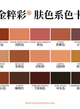 RAW金粹彩纹身色料FLESH肤色套装