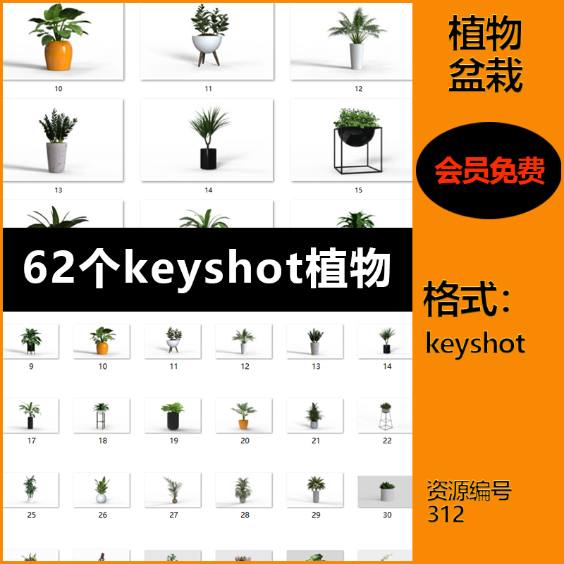 【312】62个keyshot植物模型库植物盆栽花草树木模型渲染文件 - 图0