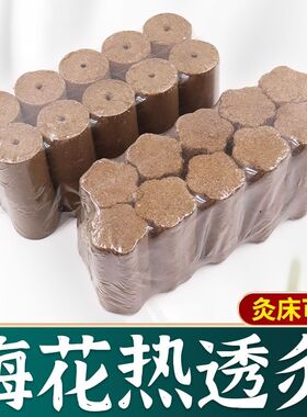 全息加药灸梅花灸太乙神灸