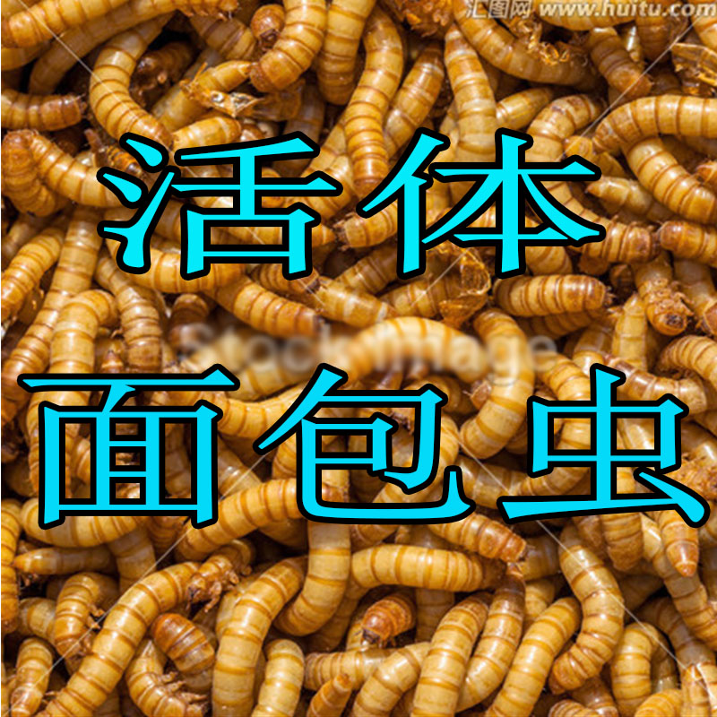 商品详情图片