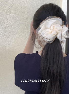 芭蕾风~韩国ins雪纺网纱大肠发圈
