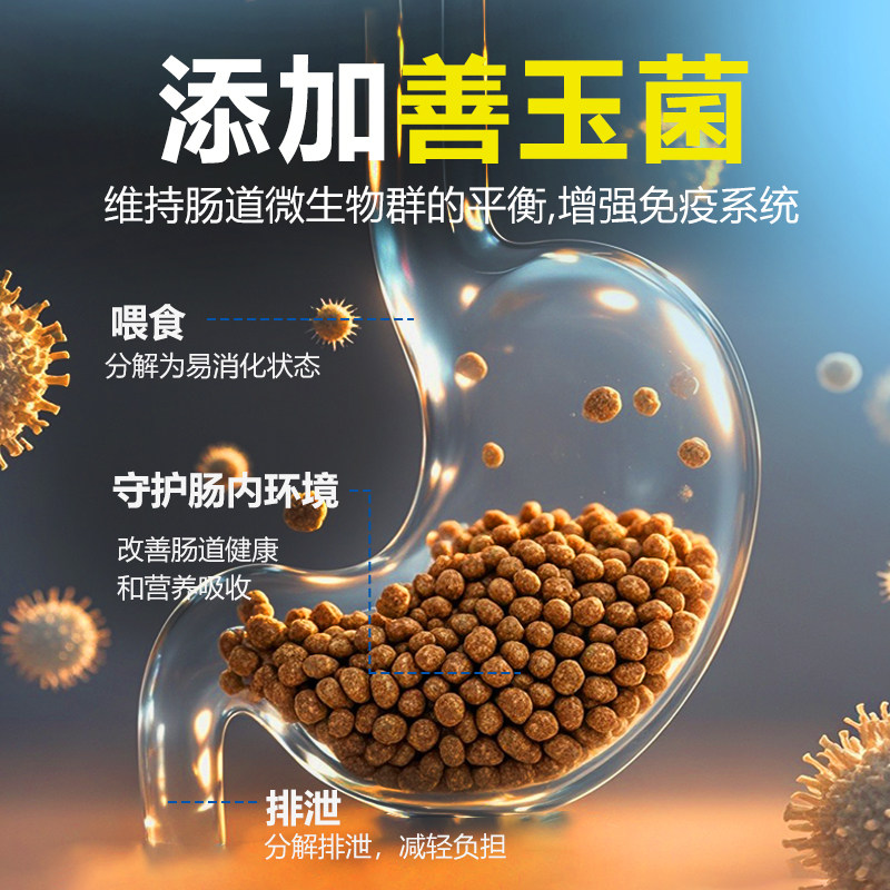 德彩发色龟粮小乌龟饲料善玉菌草龟巴西龟鳄龟黄缘龟通用幼龟零食,淘宝优惠券,粉丝福利购,淘宝优惠卷