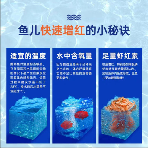 统一鹦鹉鱼饲料500克增红增色发财鱼食彩1088g血鹦鹉鱼粮中小颗粒 - 图2