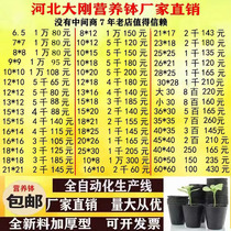 Nutrient Bowl Nutrient Cup Plastic Nursery Cup Flower Pot Disposable Nutrition Bag Manufacturer Direct Sales Nursery Basin Black Thickening