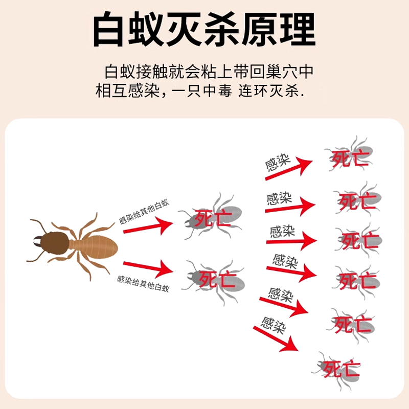 白蚁药粉家用一巢消灭白蚁杀虫粉剂专全窝园林室内传染除白飞蚁端 - 图1