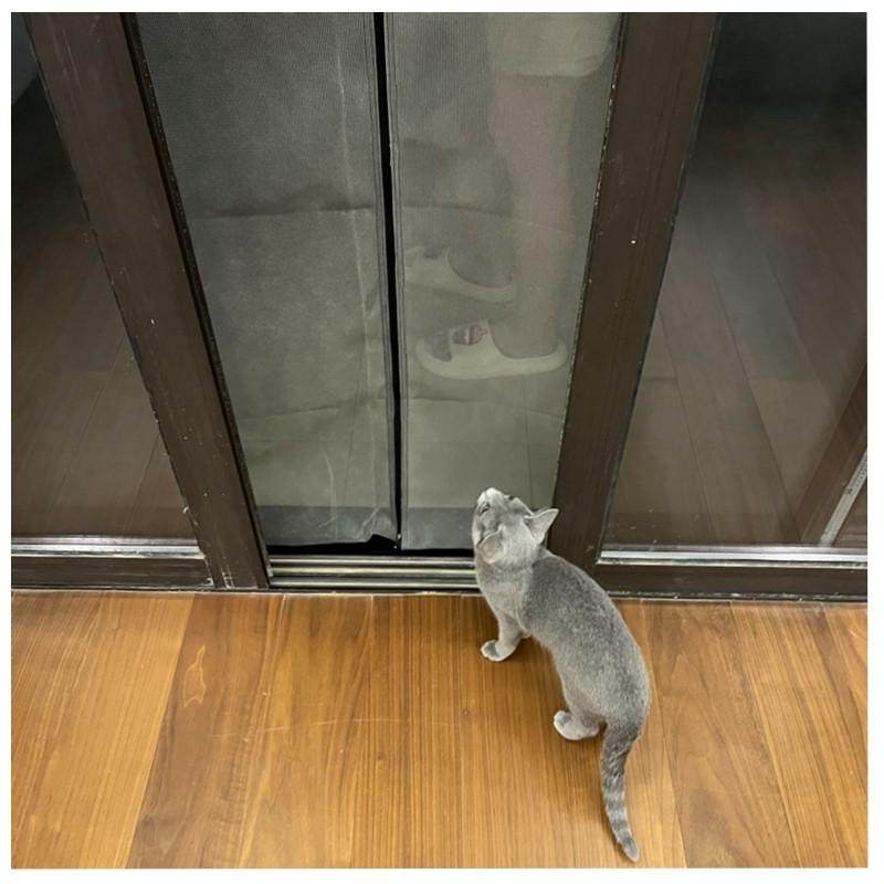 阳台养猫隔断帘拉链软纱门防猫门帘猫纱网防宠物挡猫纱窗门免打孔,淘宝优惠券,粉丝福利购,淘宝优惠卷