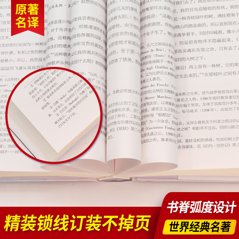 正版神曲但丁原著名家名译世界文学名著中文版完整无删减全译全本包含地狱篇净界篇天堂篇原版原著学生初高中生青少年课外阅读书籍-图2