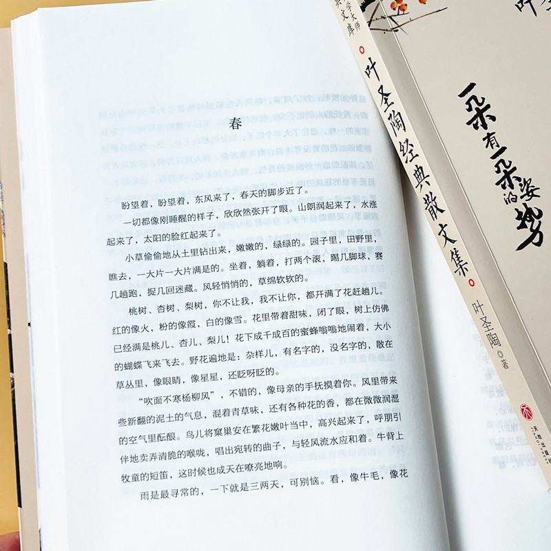 6册正版叶圣陶经典散文集朱自清老舍汪曾祺林徽因中国文学大师文库精选散文课外阅读书籍近代看看名著-图1