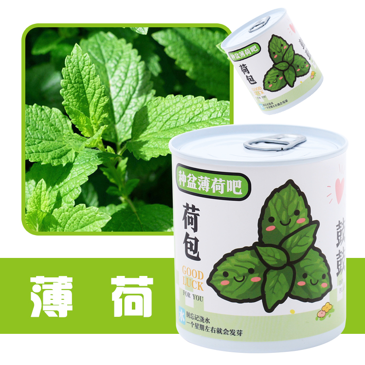 地推热卖实用桌面创意礼品学生节日礼物手工奖励幼儿园儿童小礼品