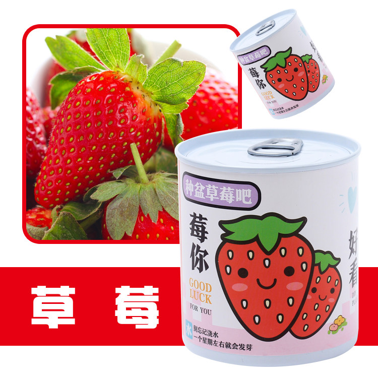 地推热卖实用桌面创意礼品学生节日礼物手工奖励幼儿园儿童小礼品