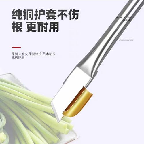 蒜苔收割刀加长不锈钢蒜薹刀打蒜苔划剥蒜苔抽蒜苔拔蒜苔工具 - 图1