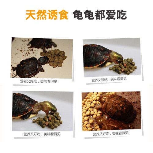 命脉陆龟成龟幼龟龟粮纯食草型雨林型陆龟粮辐射星龟豹龟通用饲料 - 图3