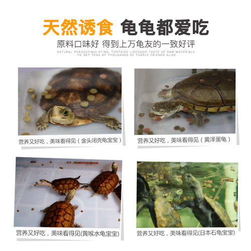 命脉稚龟开口粮乌龟饲料出壳龟苗食物幼龟通用补钙龟粮 - 图3