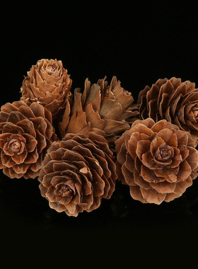 办公桌客厅玄关卧室摆件肉桂生财摆件玻璃瓶招财聚米进米瓶