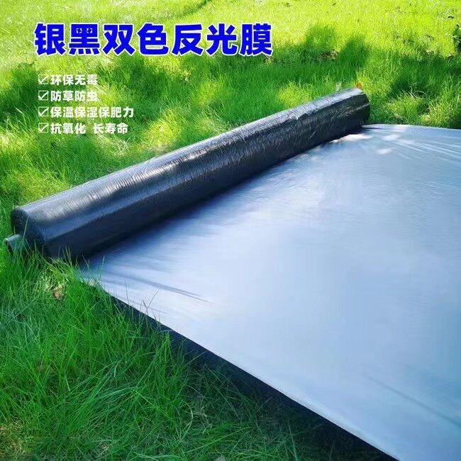 农用加厚防草膜抗氧化银黑双色地膜色反光膜果树草莓大棚种植保温,淘宝优惠券,粉丝福利购,淘宝优惠卷