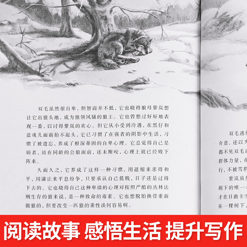 狼王梦全套正版沈石溪动物小说大王狼王梦画本珍藏版完整版漫画版小学生三四五六年级课外书8-12岁班主任推荐经典儿童文学书_虎窝淘