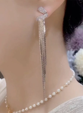 高级感超闪长款流苏耳环女新款潮银针镶嵌锆石日韩优雅耳饰