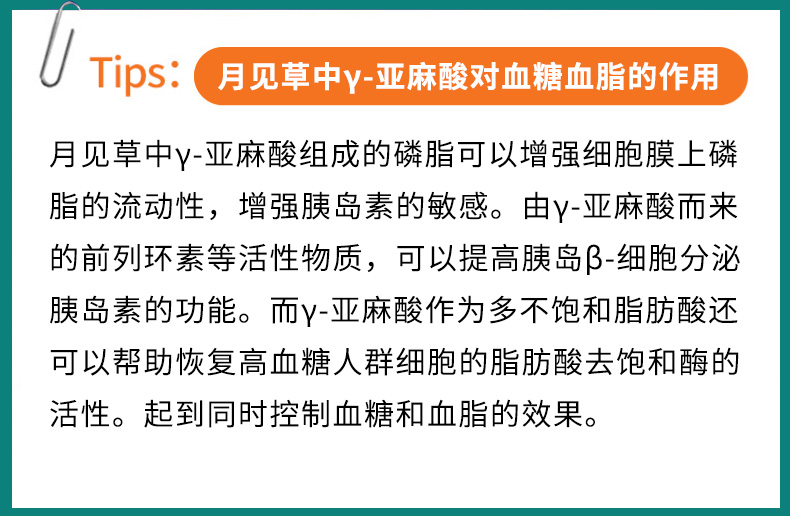 宜度海外专营店美国黄花磷月见草油软胶囊植月麻亚酸黄花草油酸降脂素磷油脂酸酯3
