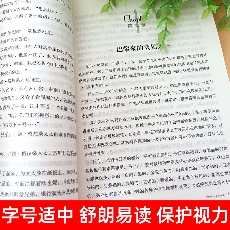 全正版昆虫记小王子爱的教育名人传绿野仙踪安徒生童话海底两万里三四五六年级阅读小学生课外书阅读书世界十大名著儿童文学必读书 - 图2