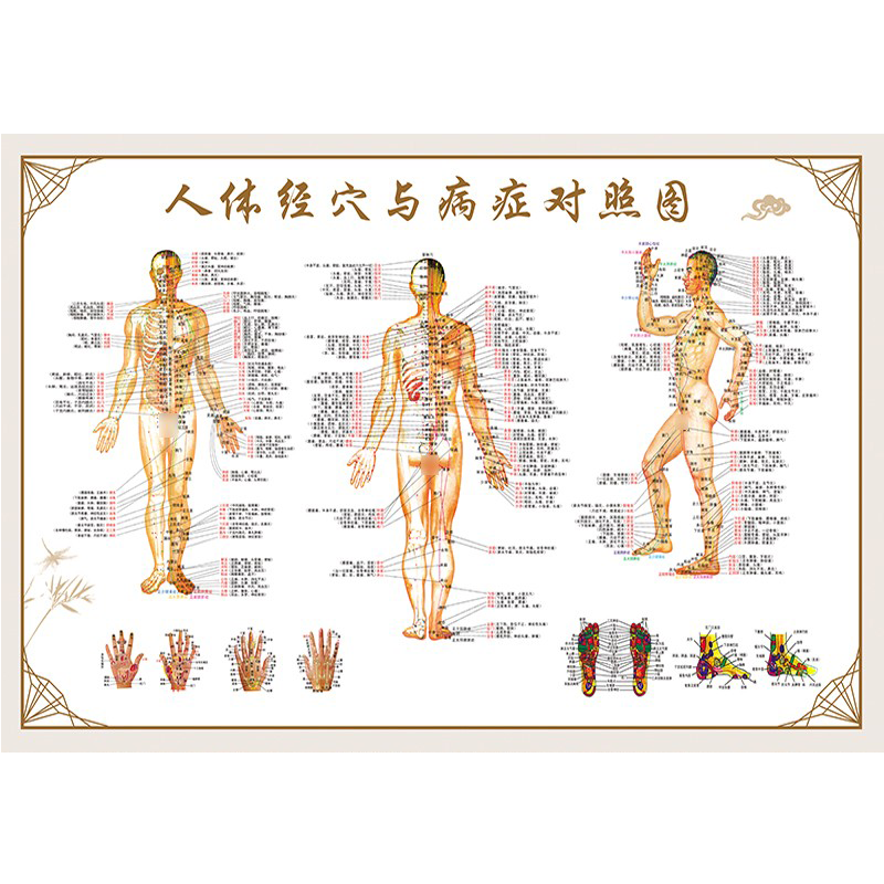 人体经络穴位图大挂图家用中医养生艾灸推拿全身高清海报背部针灸 - 图3