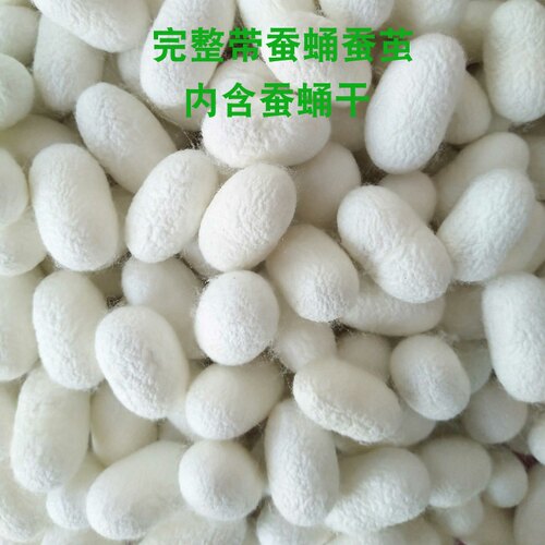 天然美容茧桑蚕茧壳蚕茧球洗脸指套入药泡茶喝抽丝蚕美工泡水喝 - 图2