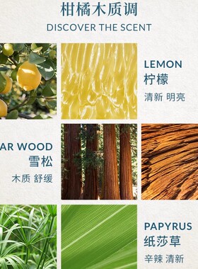 欧珑100ml系列香水简装多场景