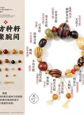 菩提子散珠手工diy材料包原籽十八子手串无患子配件把玩天然散珠