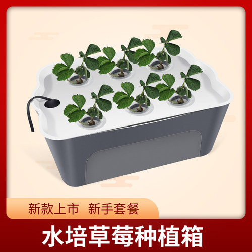 家庭阳台种菜 无土栽培设备室内水培蔬菜种植箱自动化水耕种菜机 - 图2