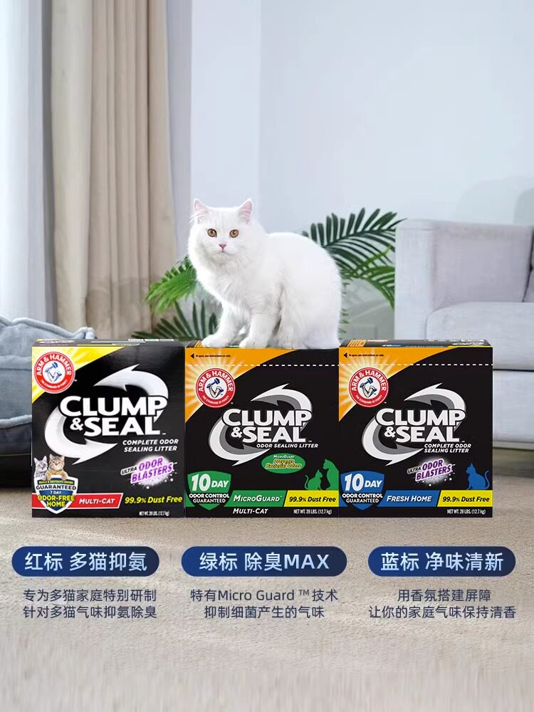 图 5