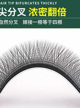 5D柔软一秒开花自然不散根睫毛
