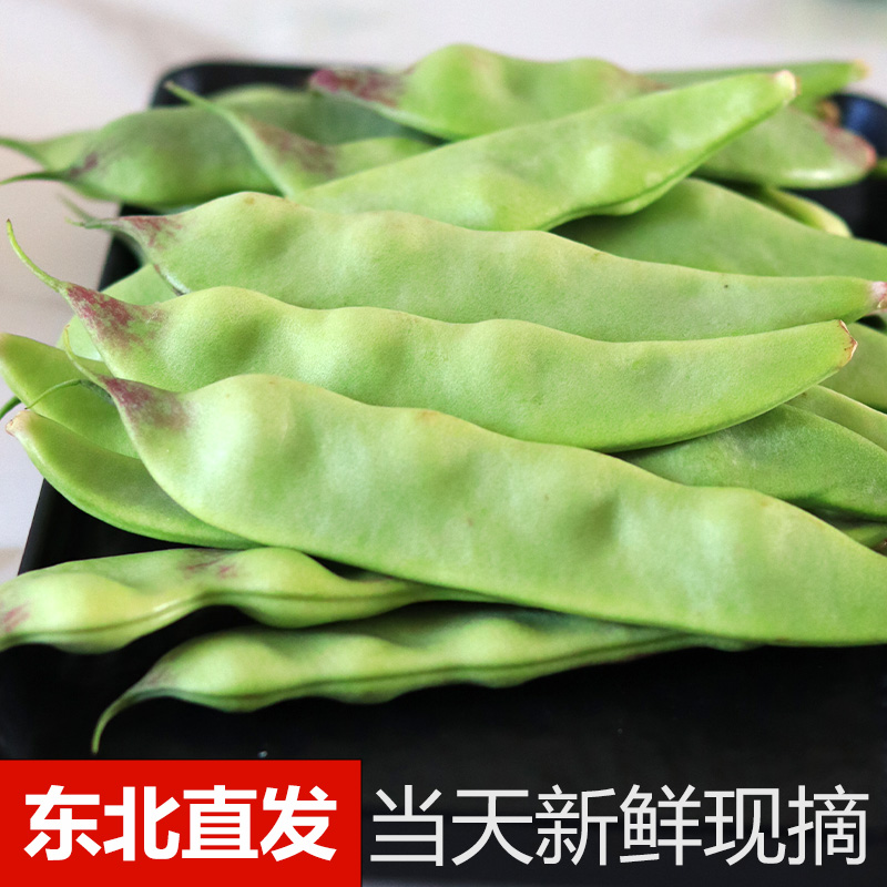 正宗东北油豆角一点红豆角新鲜蔬菜九月青面豆角开锅烂食用农产品 - 图2