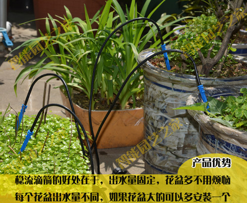 植物墙盆栽滴剑套装浇水浇花自动灌溉滴水花园盆景稳流器园林花卉 - 图0