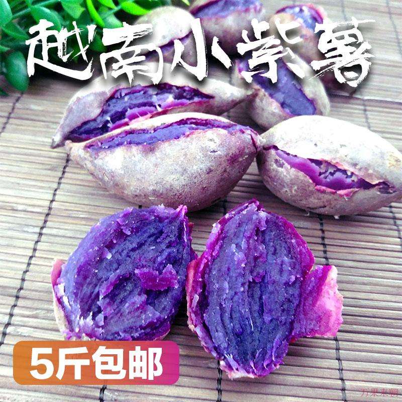越南小紫薯进口迷你番薯新鲜现挖小地瓜红薯香薯5斤新品山芋-图2