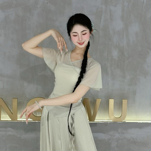 古典舞身韵小飞袖纱衣夏季短袖芭蕾舞练功服中国舞网纱上衣艺考服 - 图3