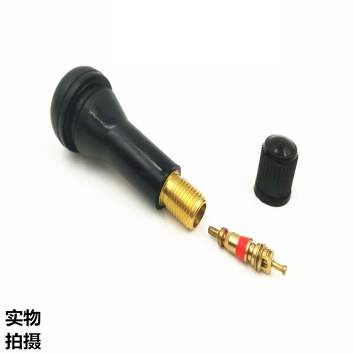 包邮泰克气门嘴 泰普斯轮胎气门嘴橡胶气门嘴 真空胎纯铜气门嘴 - 图3