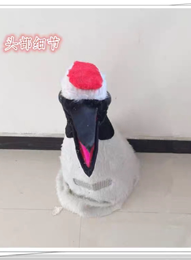 人穿服装丹顶鹤人体丹顶鹤舞龙舞狮社火道具凤凰服装驴马旱船