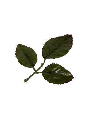 玫瑰手工假花特价包邮