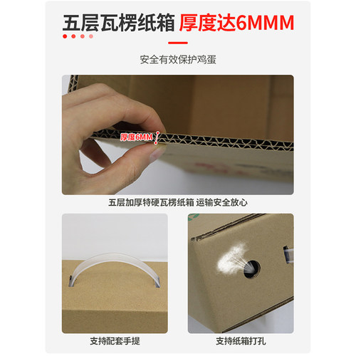 鸽子蛋包装盒30枚鸽蛋托防震防摔珍珠棉塑料快递专用礼盒运蛋神器 - 图2